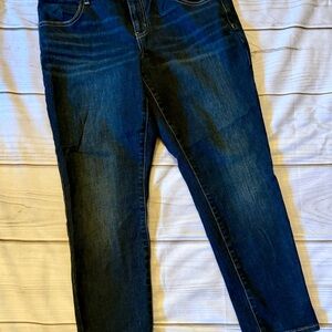 American Eagle Outfitters Dark Blue Ankle Jeans